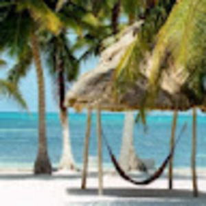 Meet your Posher, Alan